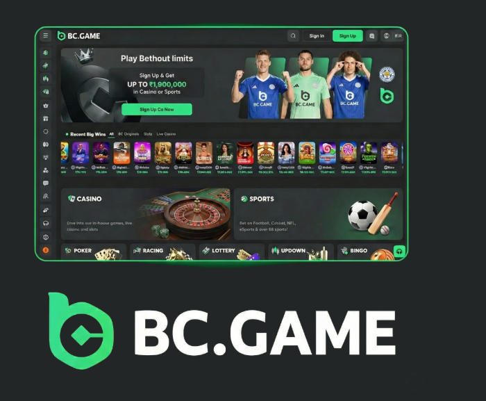 Step-by-Step Guide to BC.Game Registration Process 1756186037